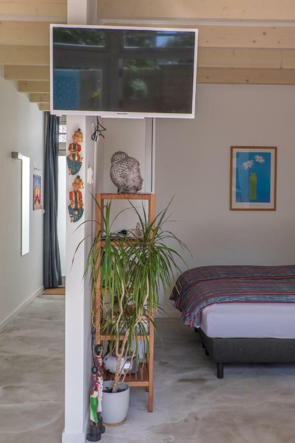 Studio South Beach With Garden And Free Parking Zandvoort Bagian luar foto