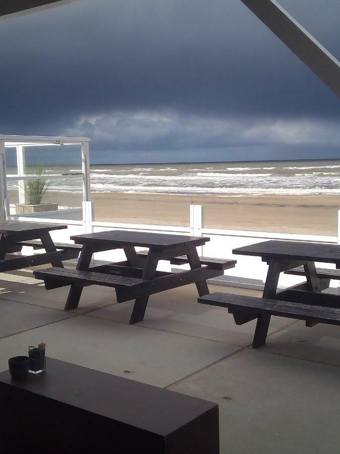 Studio South Beach With Garden And Free Parking Zandvoort Bagian luar foto